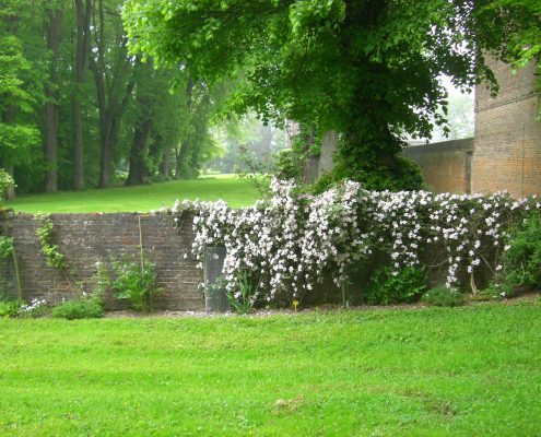 Clématites et perspectives Château et jardins de Bretteville DR