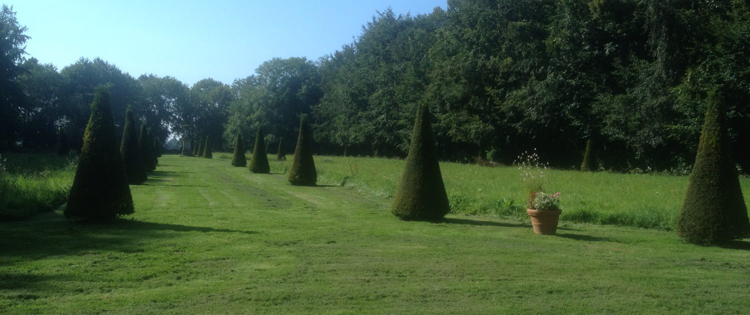 Parterre du jardin de Bretteville DR