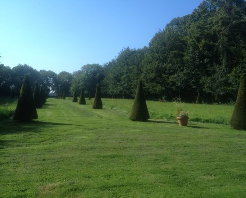 Parterre du jardin de Bretteville DR